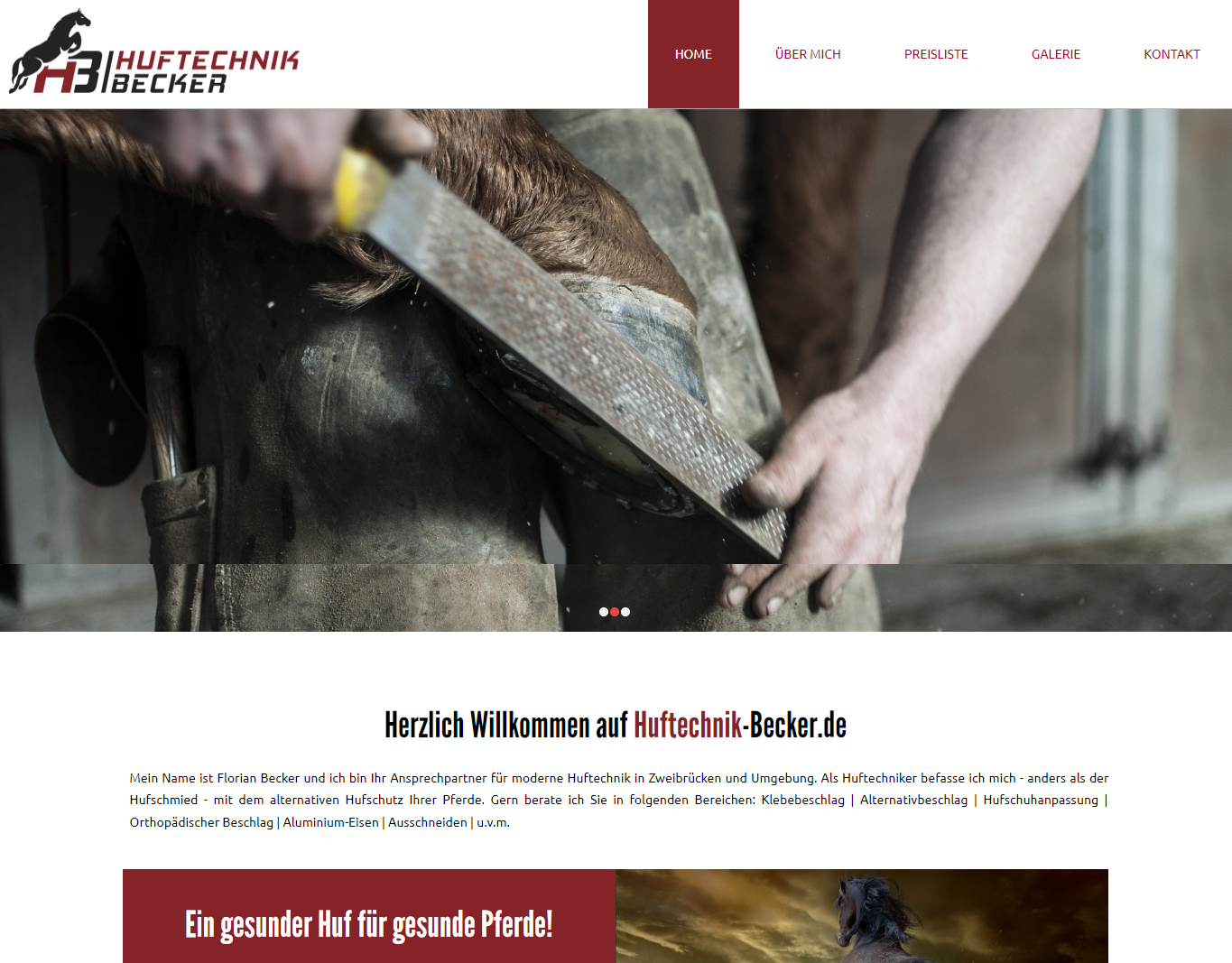 Webdesign Referenz Huftechniker