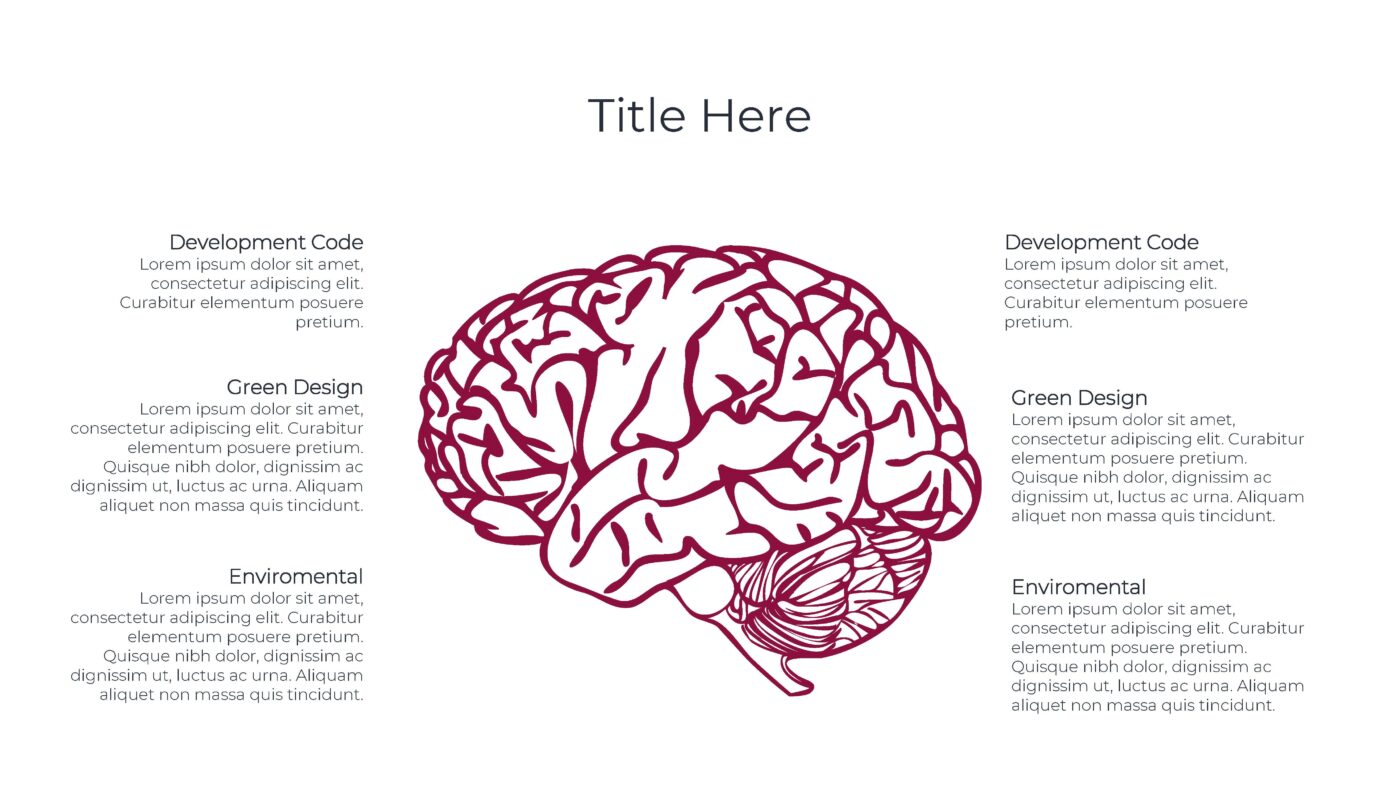 Human Brain & Body - Vorlage für Powerpoint – Bild 11