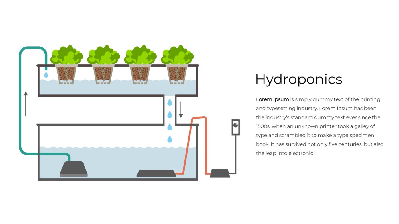 Ecology - Vorlage für Powerpoint – Bild 6