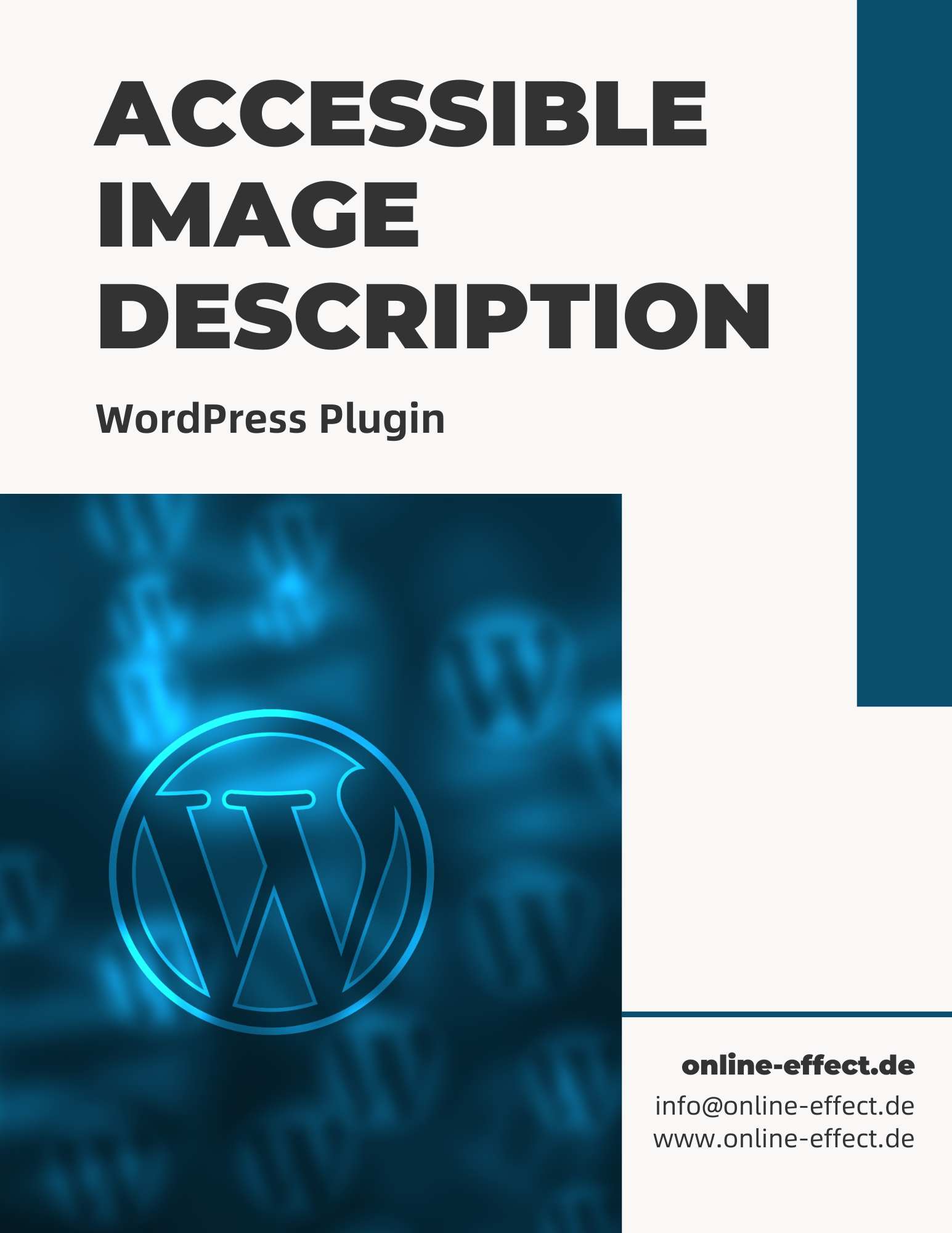 Accessible Image Description WordPress Plugin