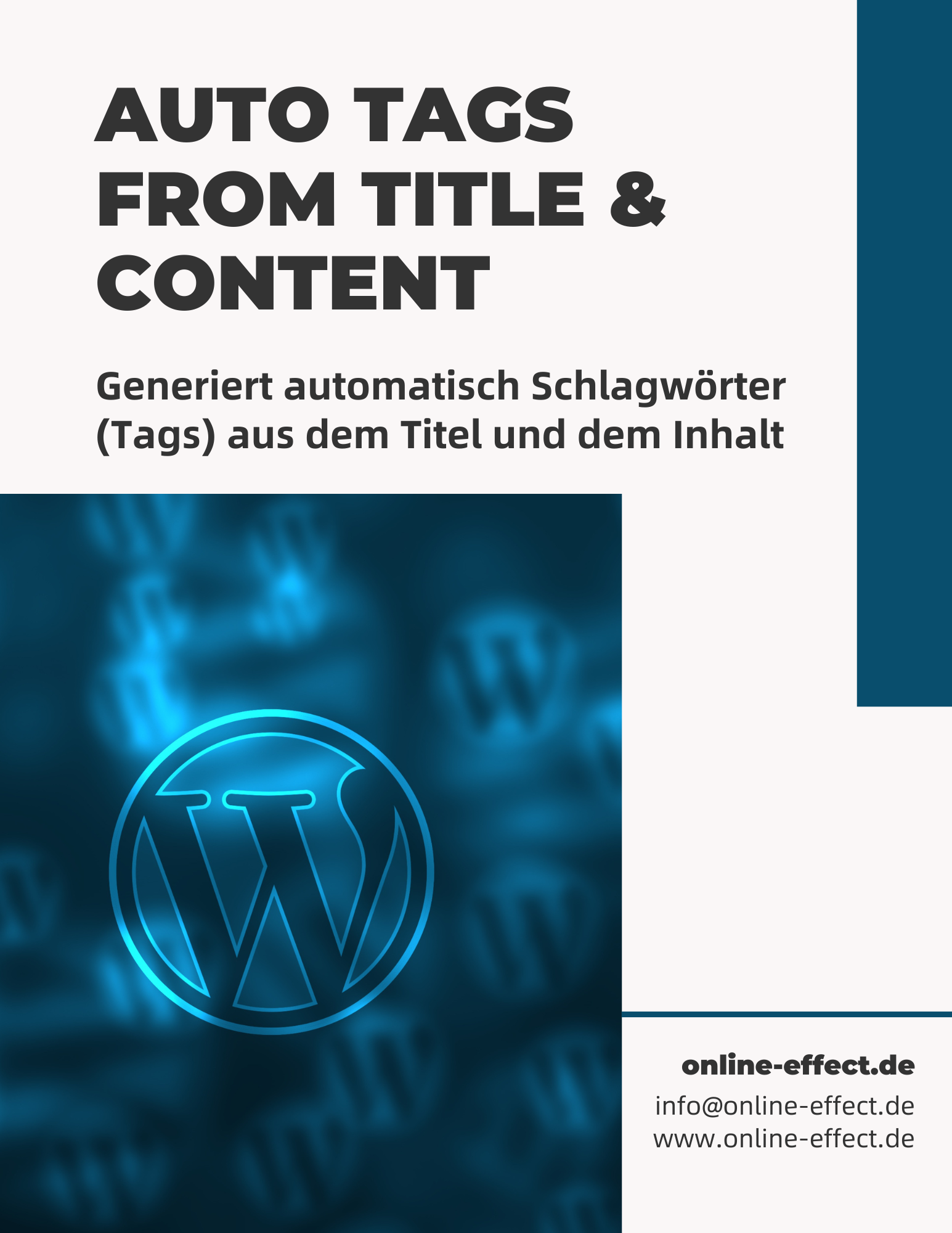 Auto Tags from Title & Content WordPress Plugin
