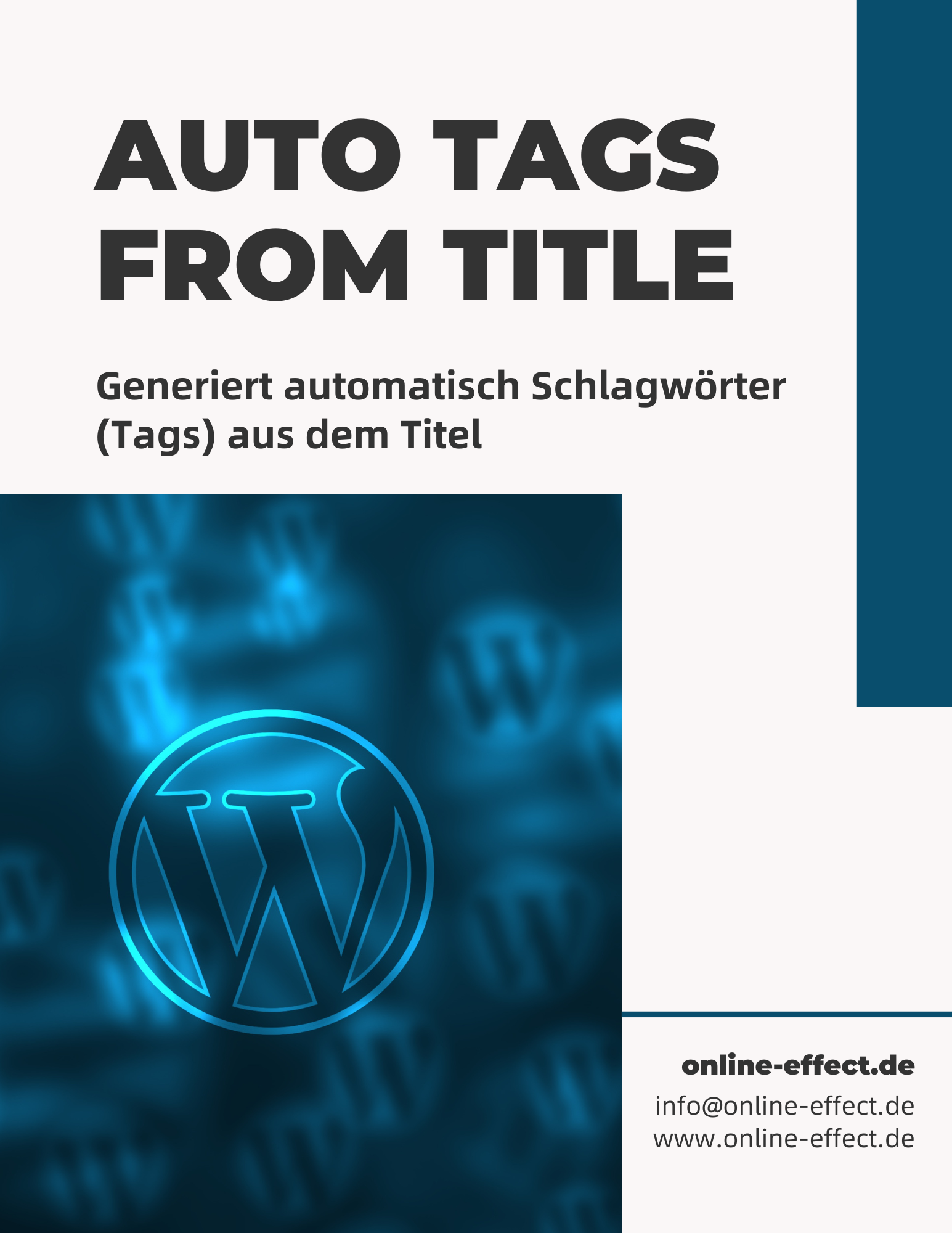 Auto Tags from Title WordPress Plugin