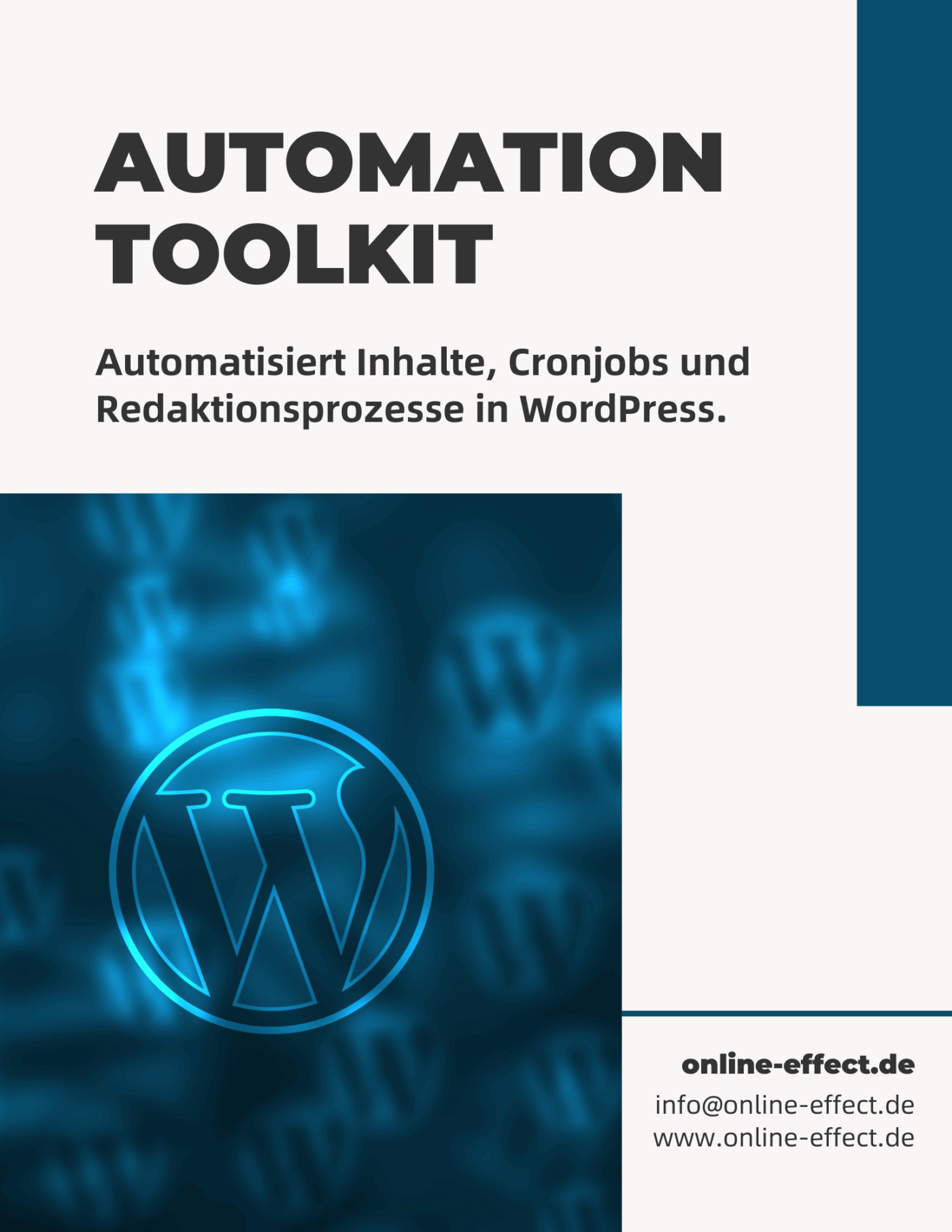 Automation Toolkit WordPress Plugin