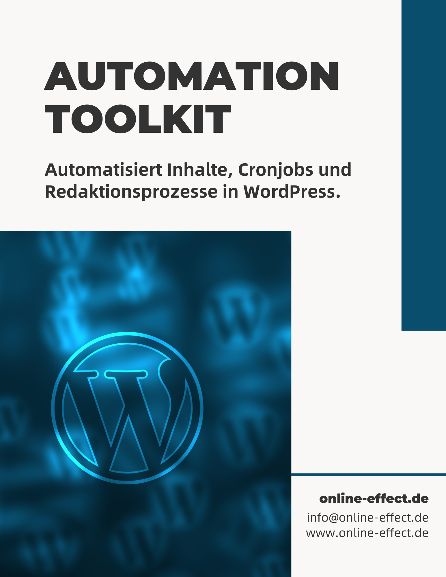 Automation Toolkit WordPress Plugin