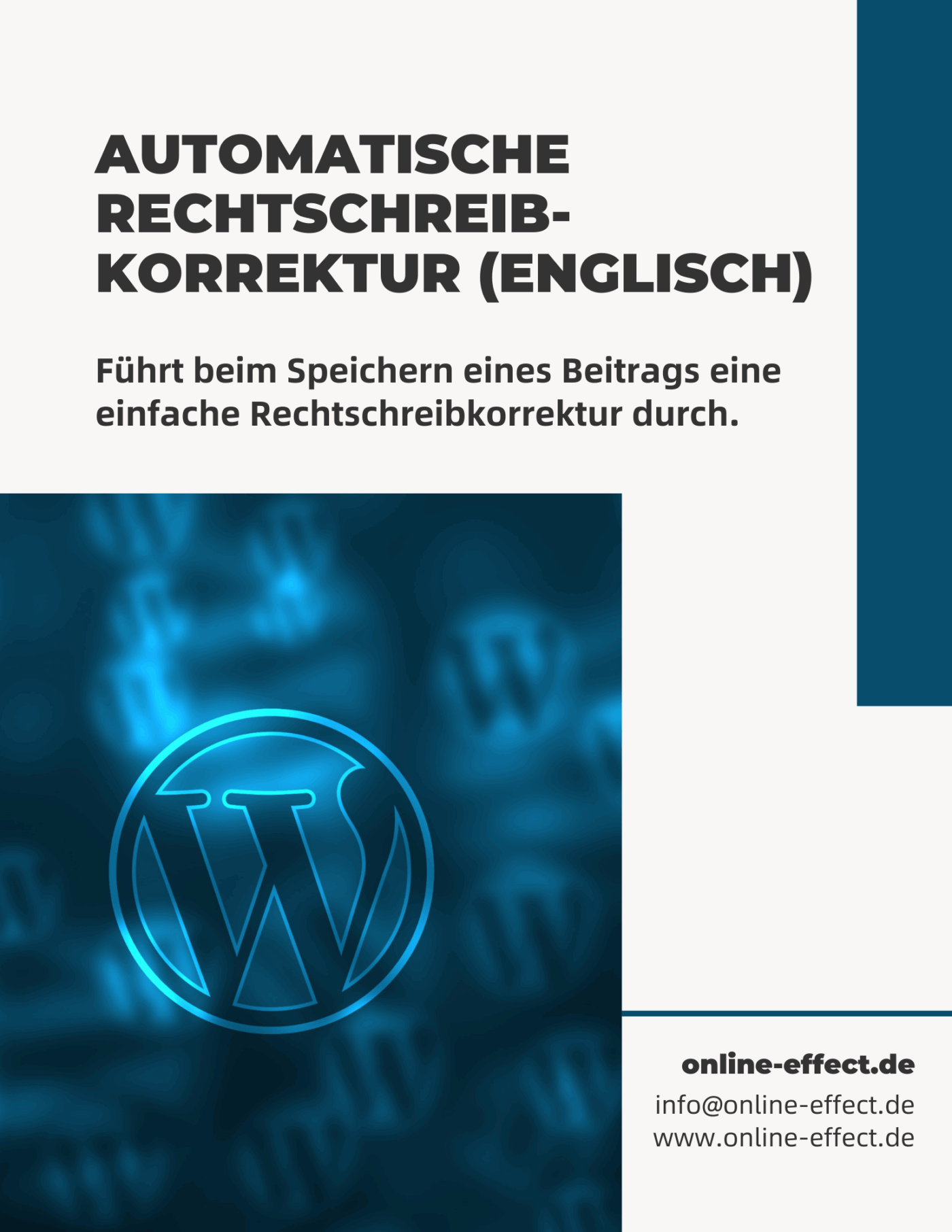 Automatische Rechtschreibkorrektur (ENGLISCH) WordPress Plugin