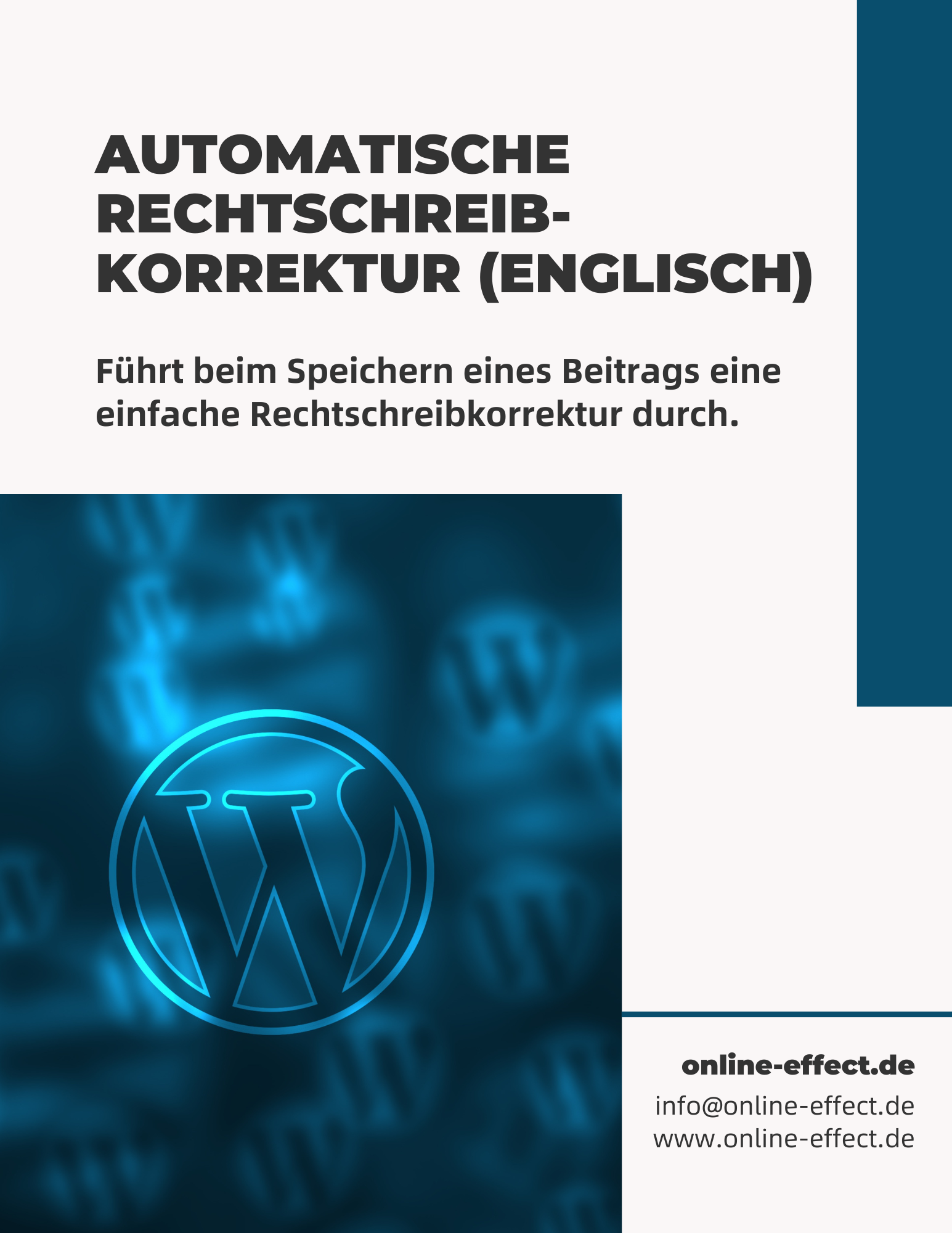 Automatische Rechtschreibkorrektur (ENGLISCH) WordPress Plugin