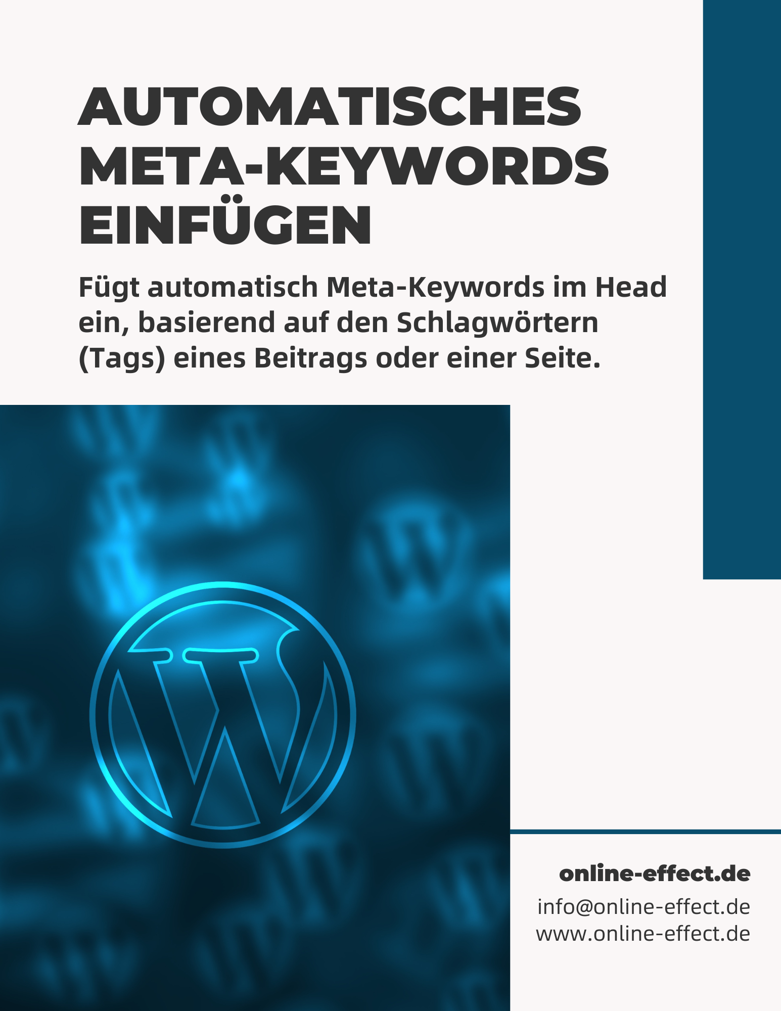 Automatisches Meta-Keywords Einfügen WordPress Plugin