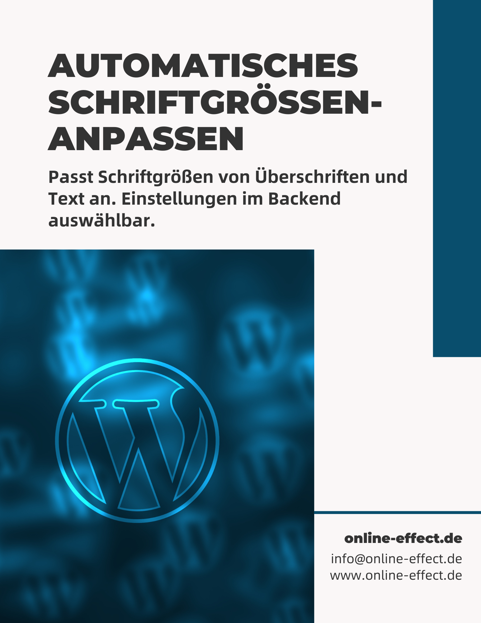 Automatisches Schriftgrößen-Anpassen WordPress Plugin