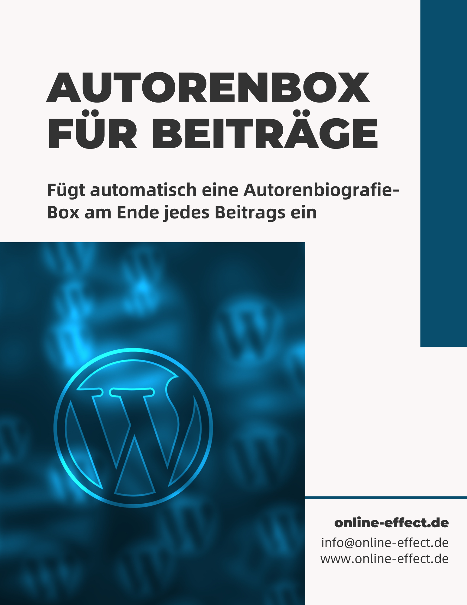 Autorenbox für Beiträge - WordPress Plugin