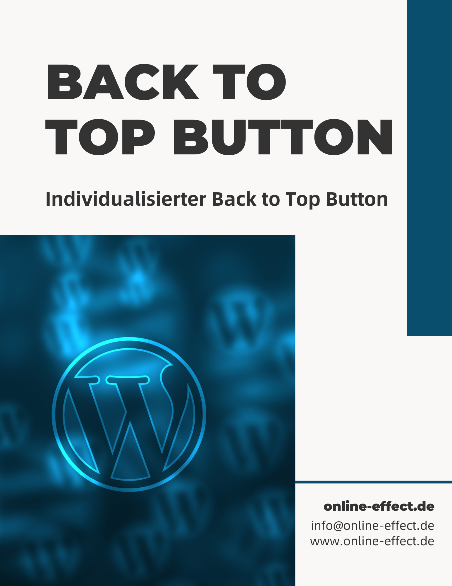 Back-to-Top Button - WordPress Plugin