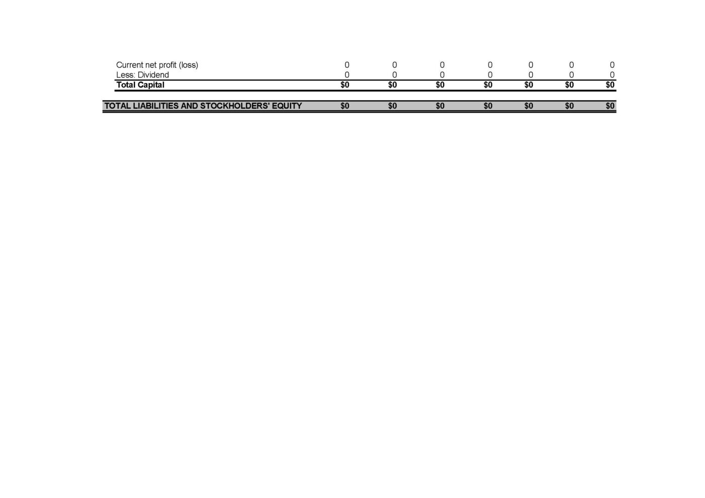 Balance Sheet Projection - Monthly – Bild 4