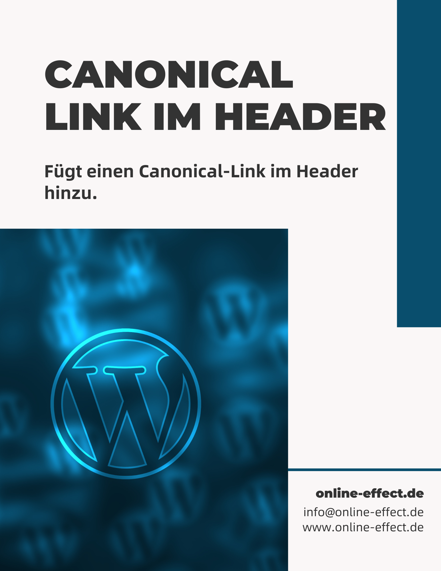 Canonical Link im Header - WordPress Plugin