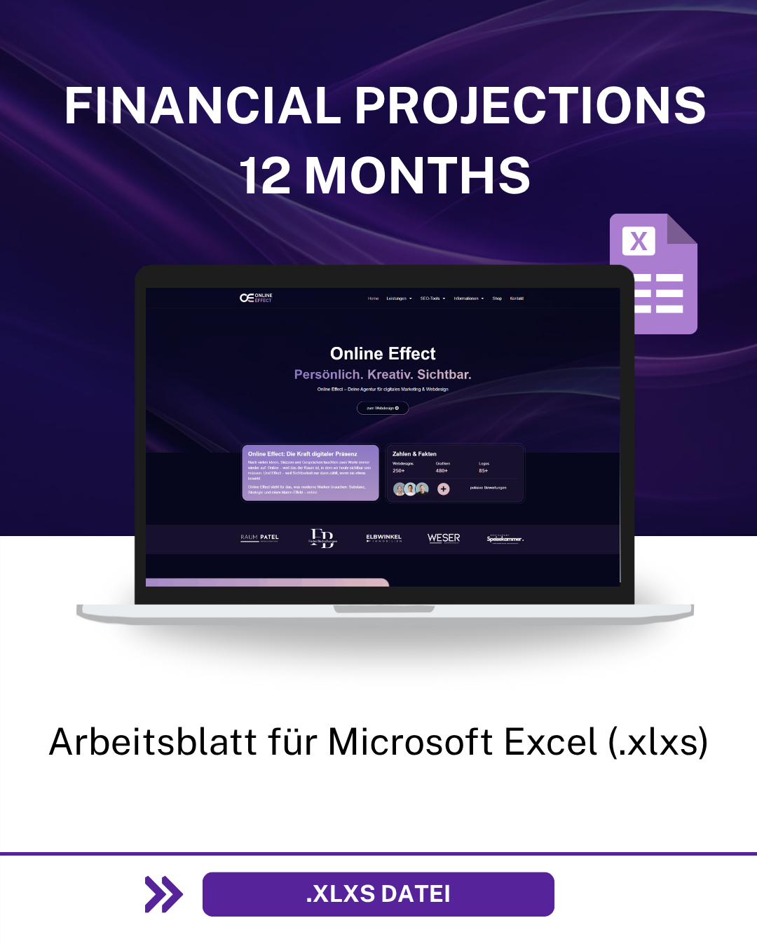 Financial Projections 12 Months