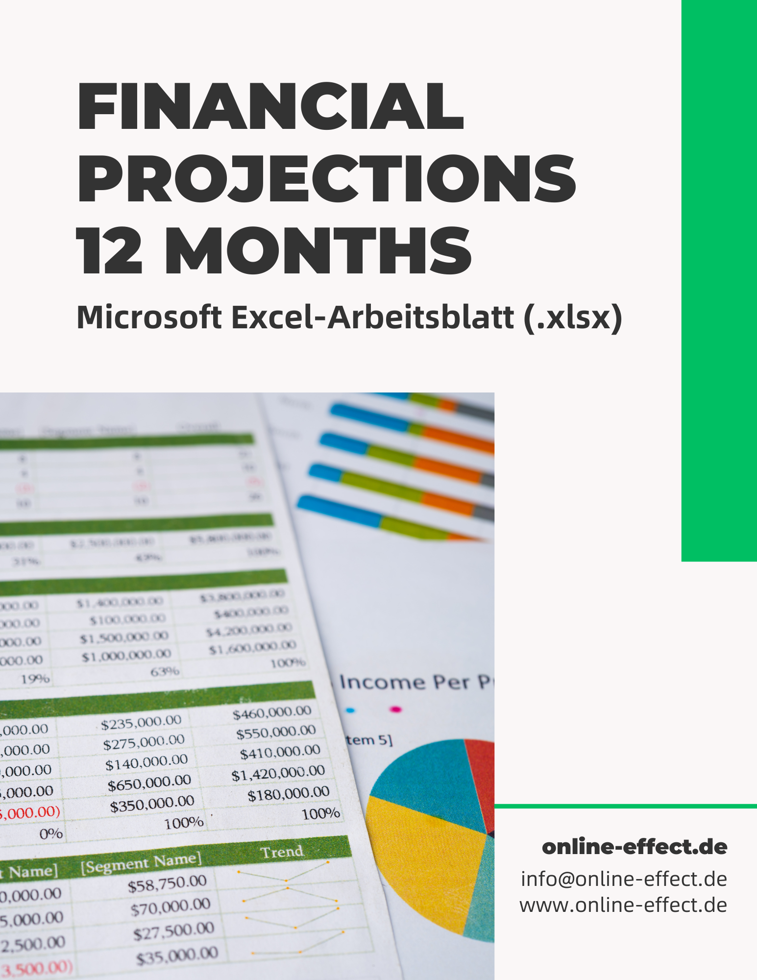 Financial Projections 12 Months