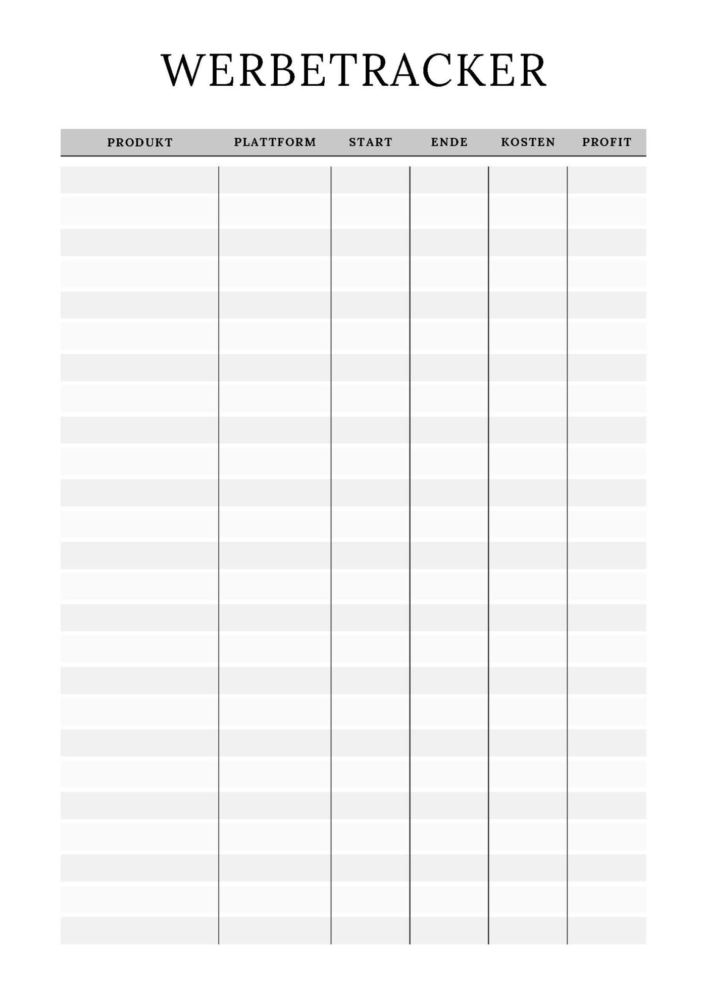 Product Launch Planer – Bild 33