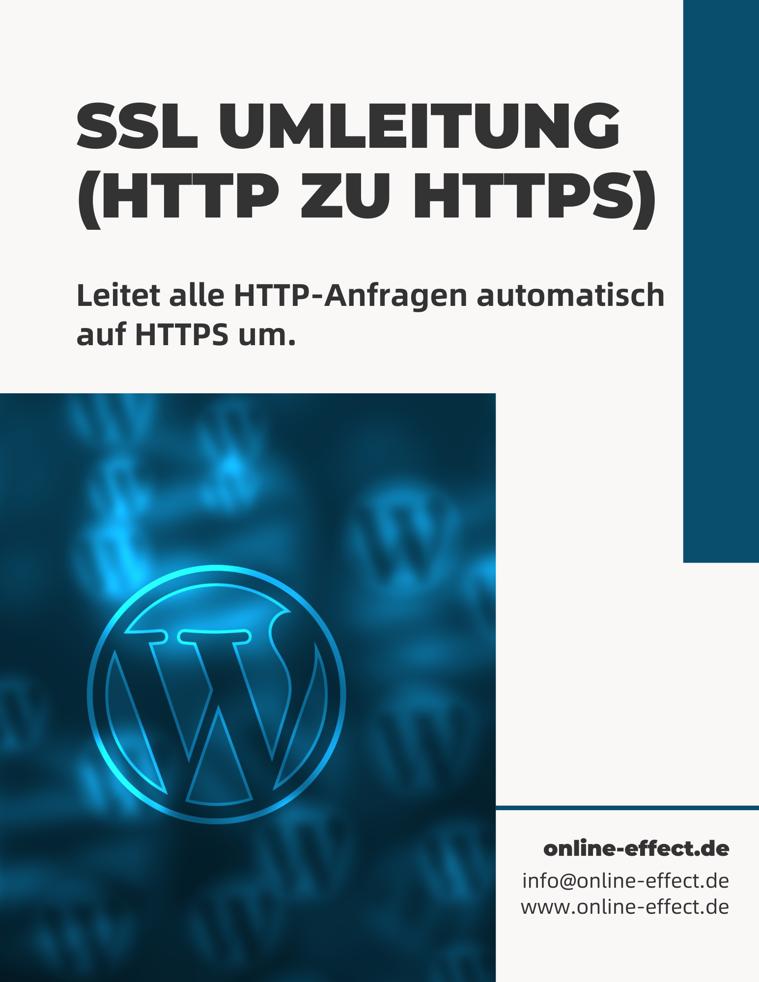 SSL Umleitung (HTTP zu HTTPS) - WordPress Plugin