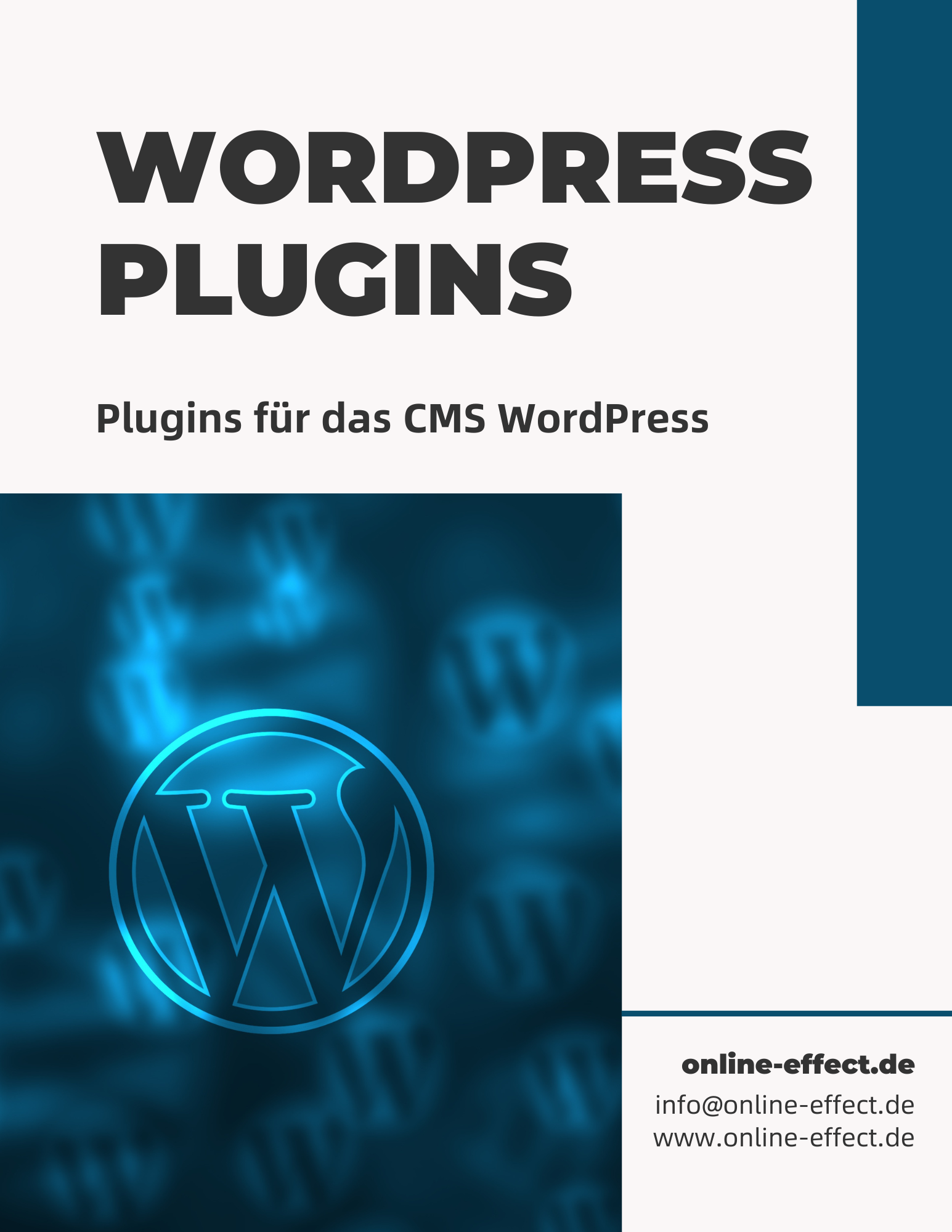 WordPress Plugins