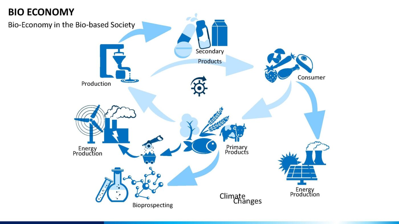 BIO Economy Vorlage für Powerpoint – Bild 17
