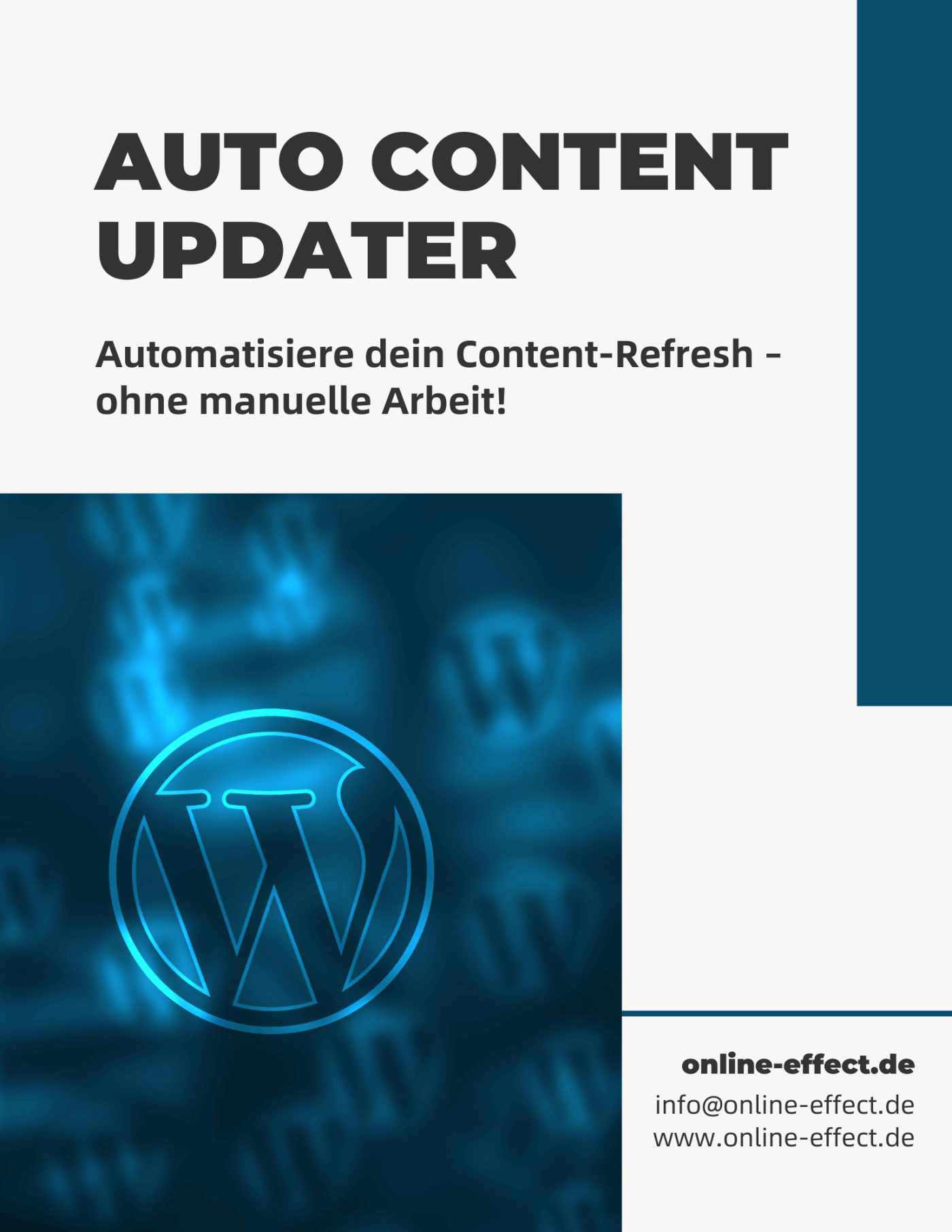 Auto Content Updater - WordPress Plugin