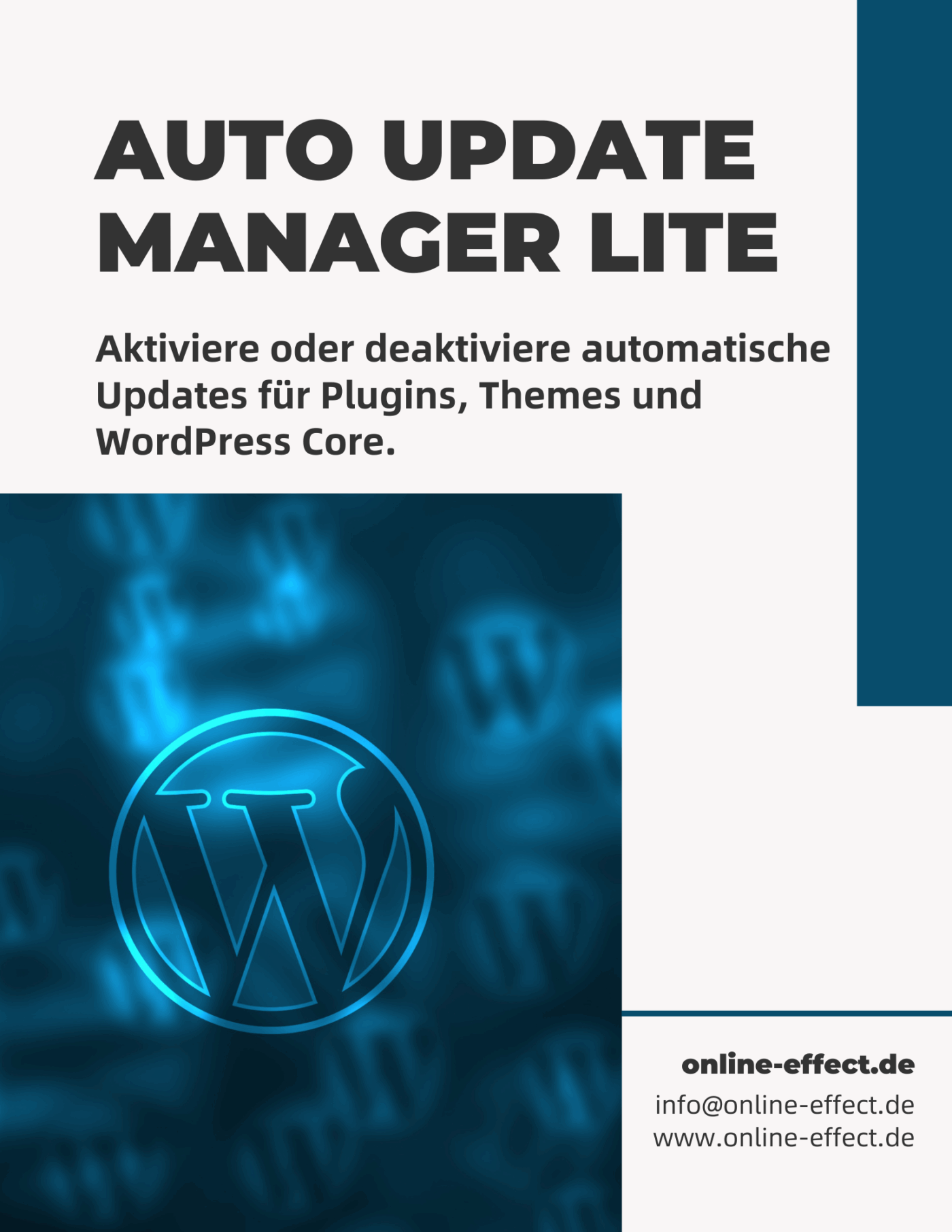 Auto Update Manager Lite - WordPress Plugin