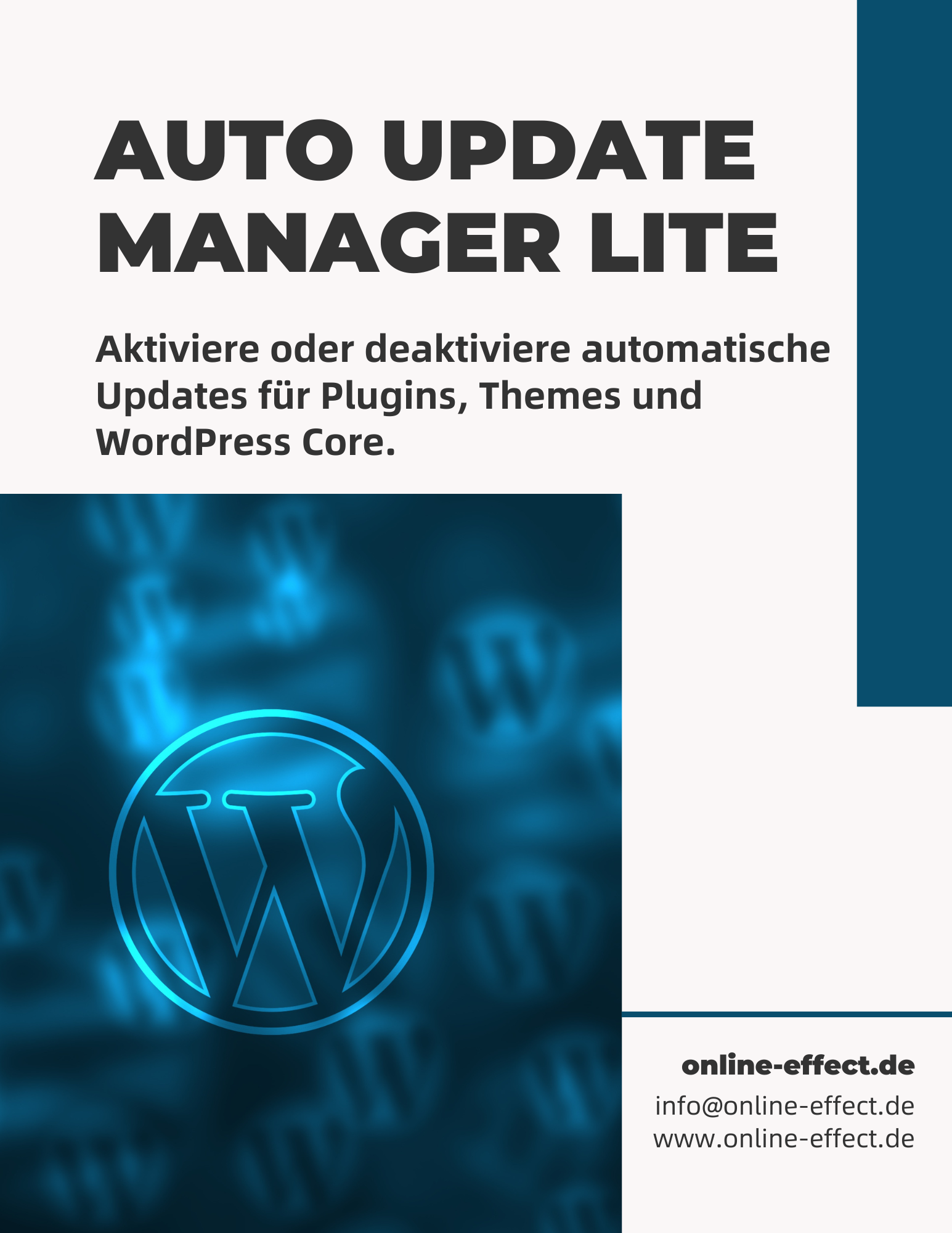 Auto Update Manager Lite - WordPress Plugin