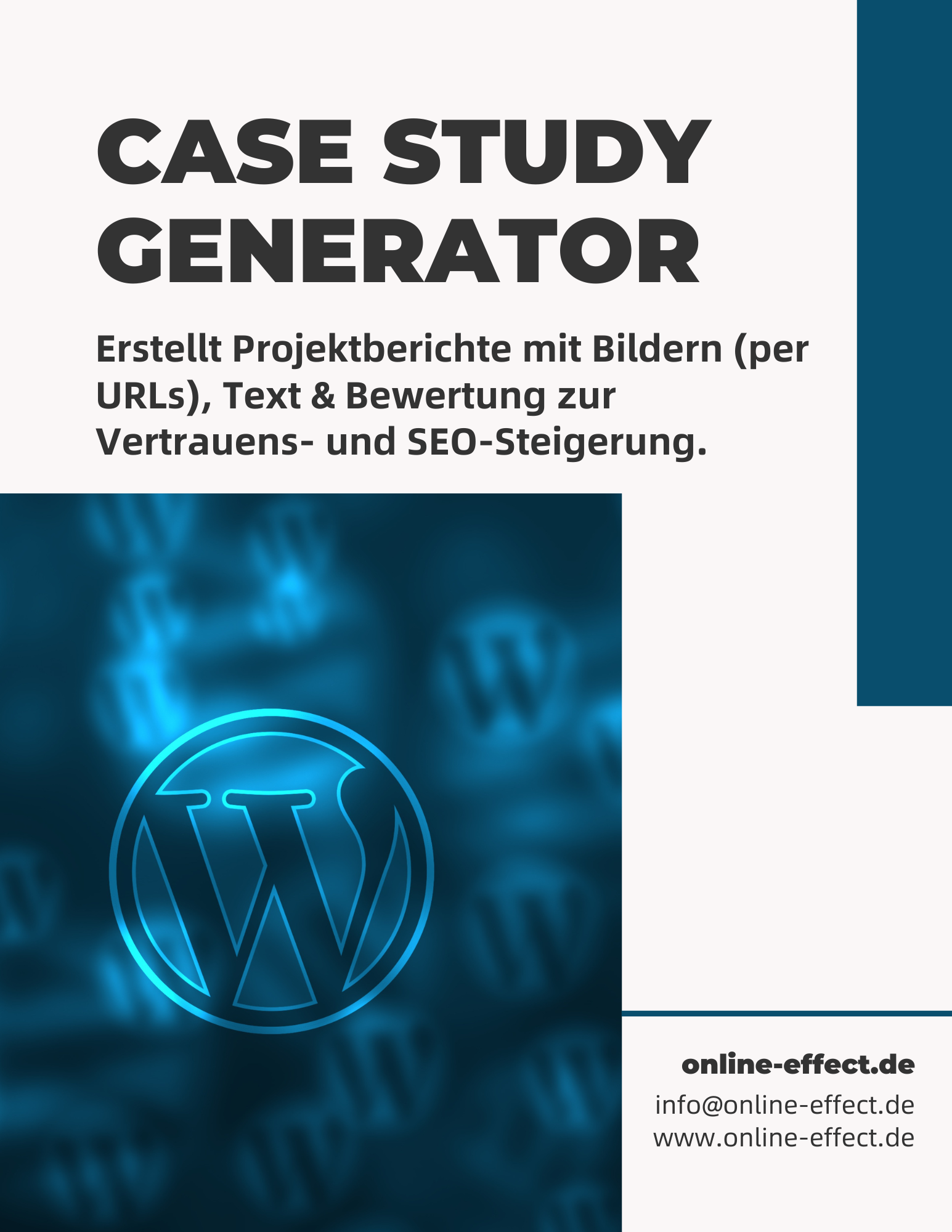 Case Study Generator - WordPress Plugin
