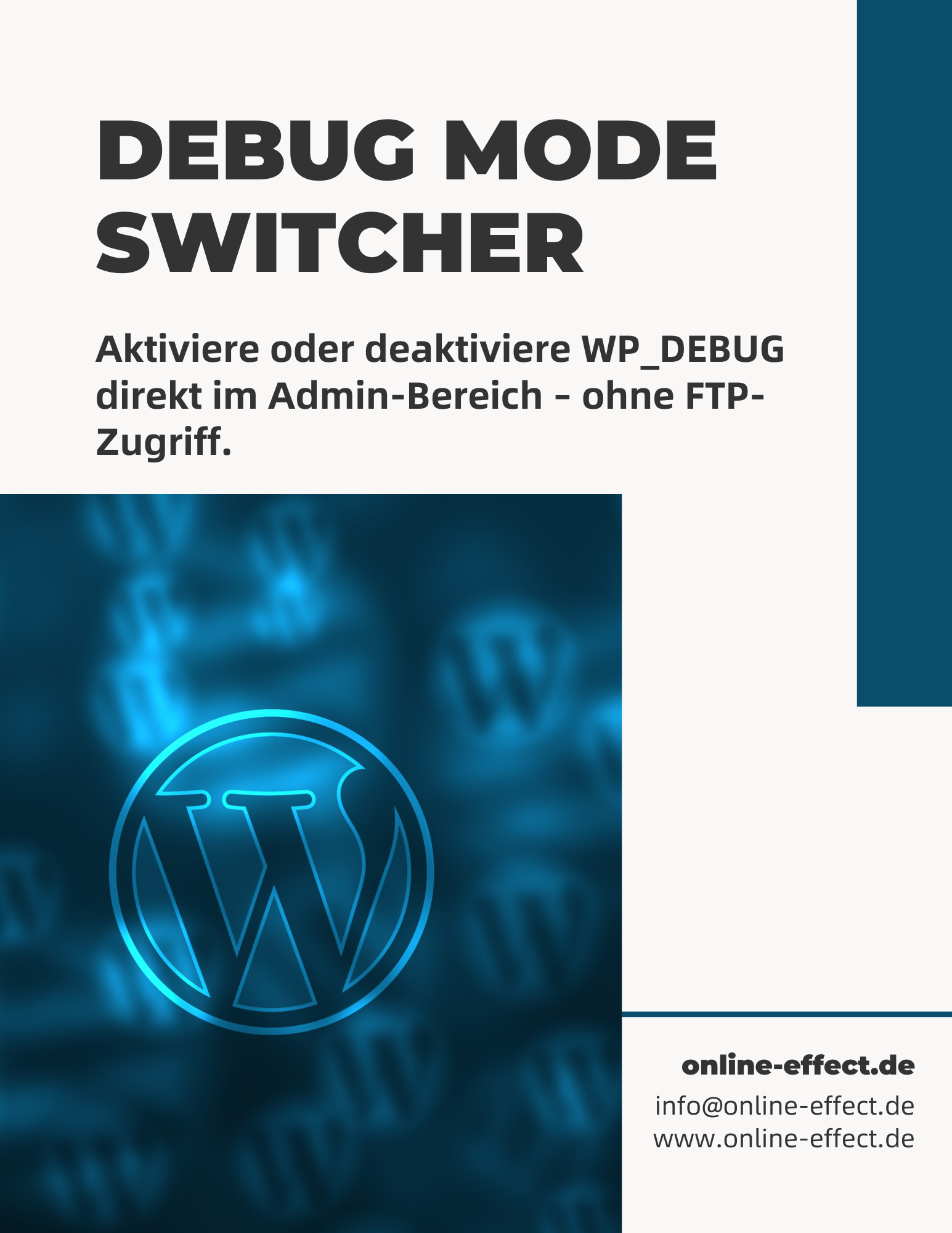 Debug Mode Switcher WordPress Plugin