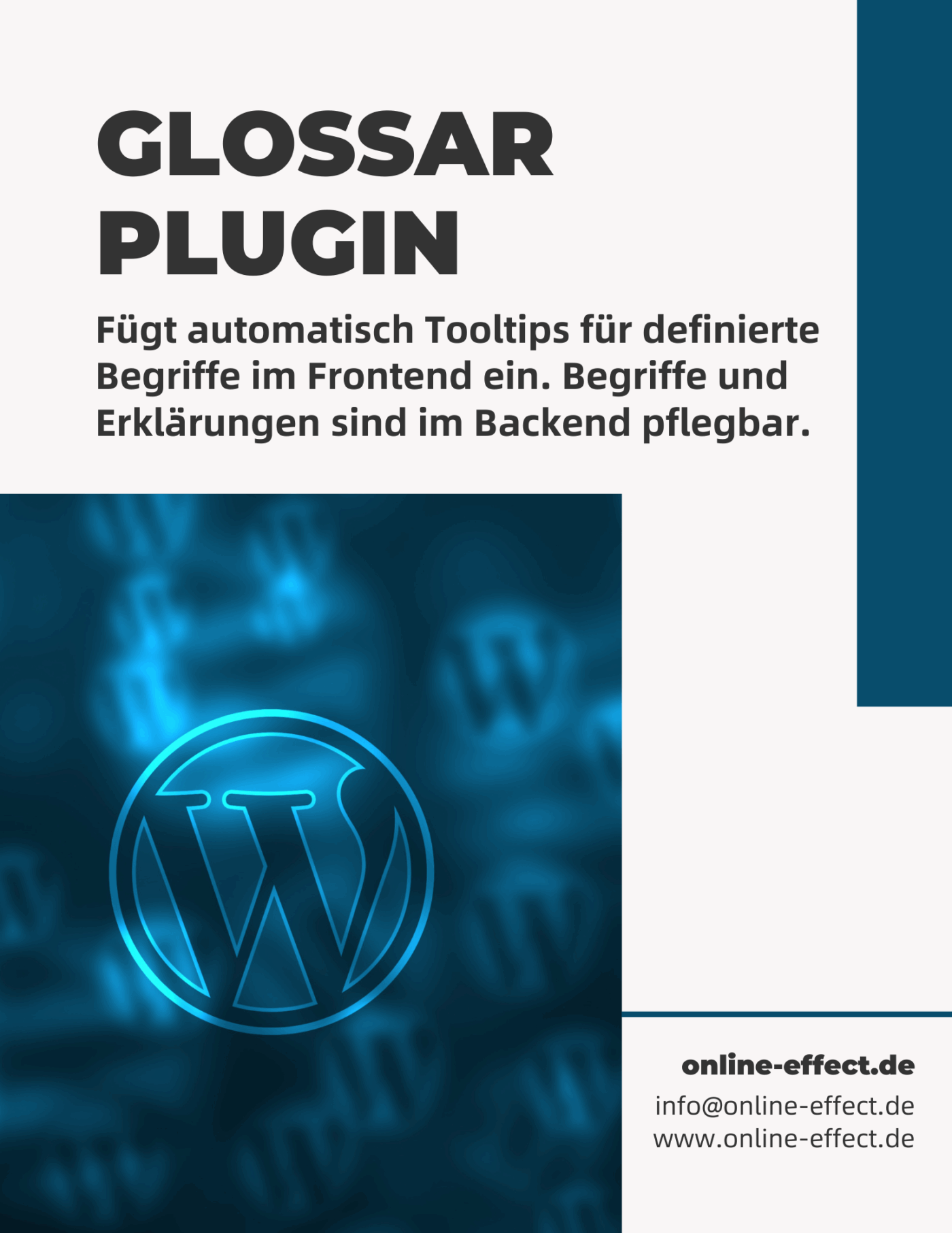 Glossar Plugin