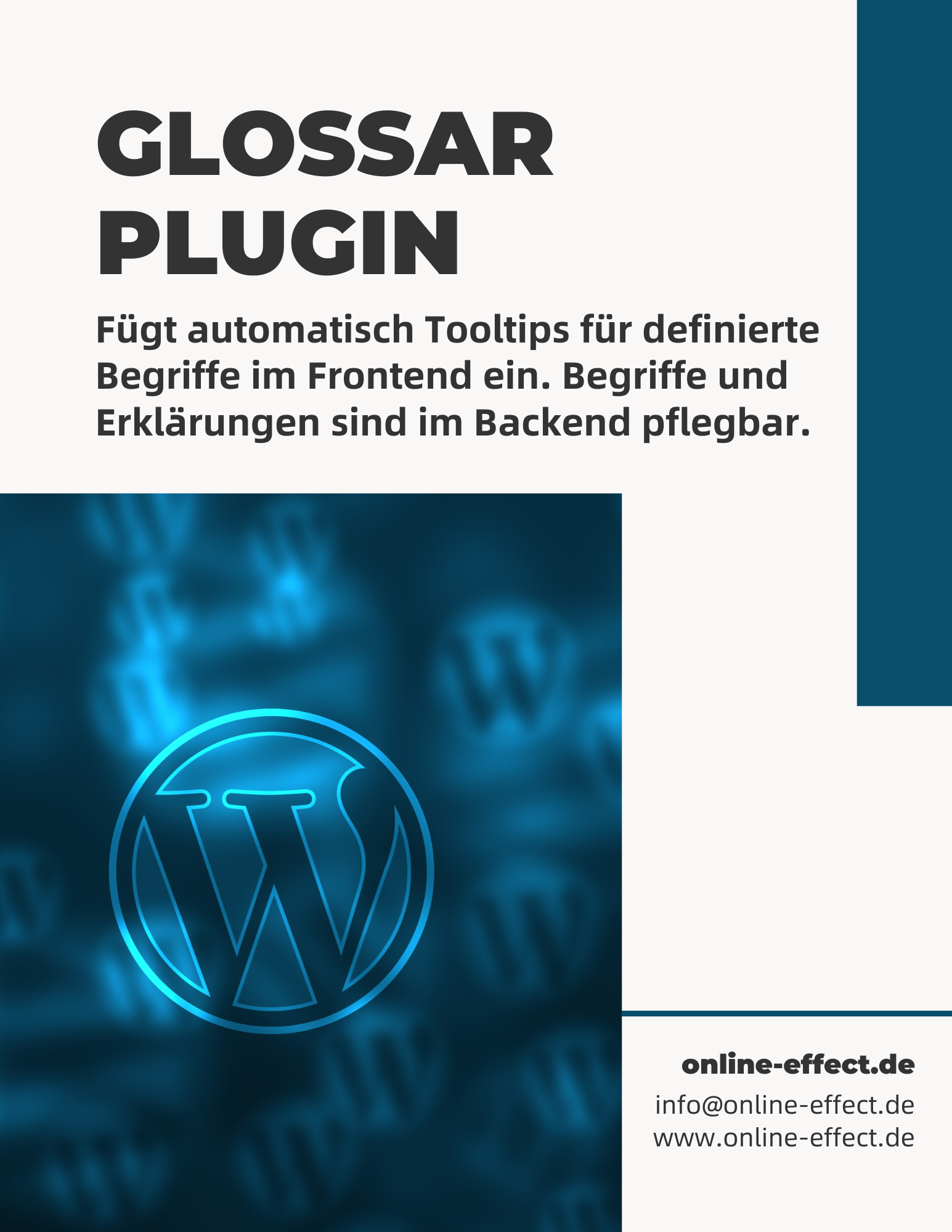 Glossar Plugin