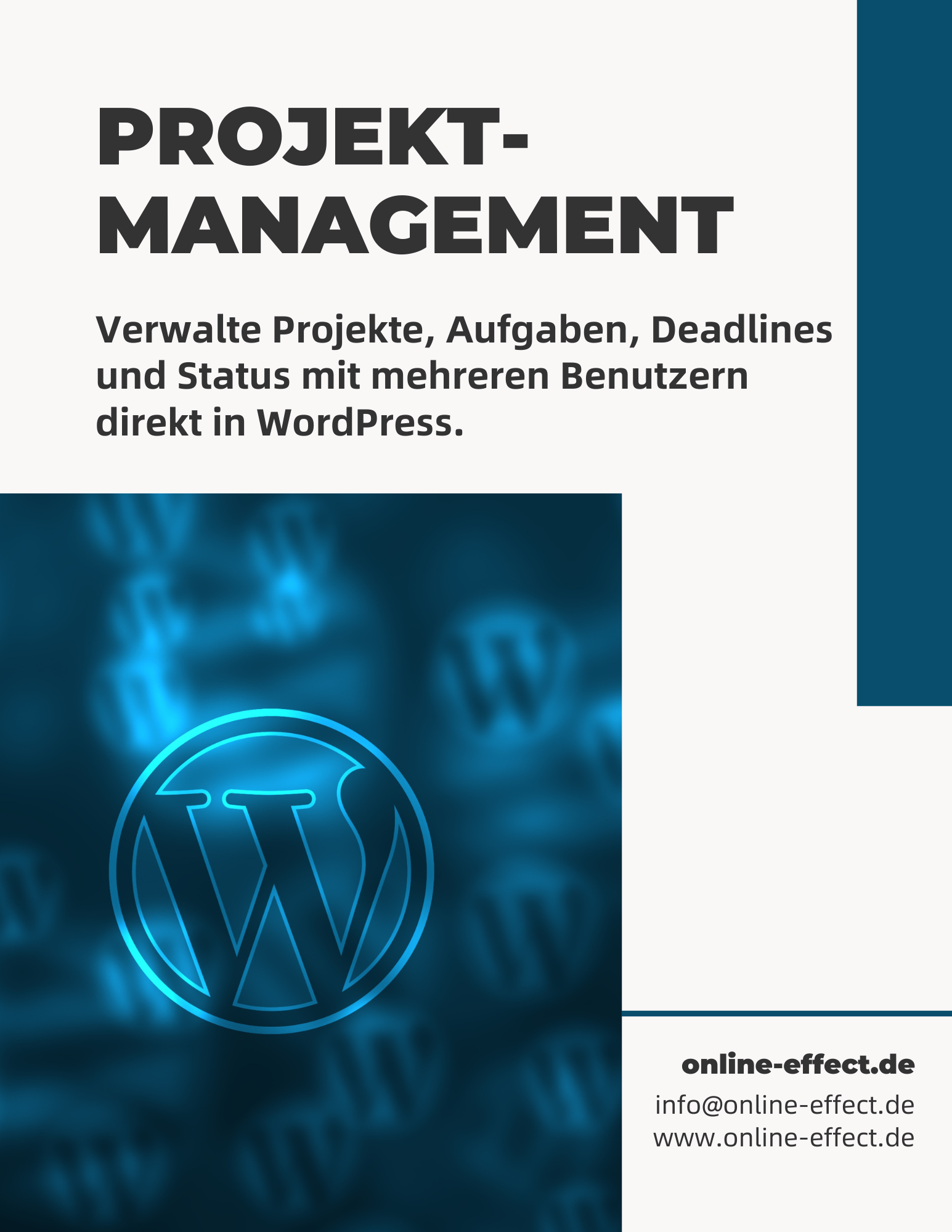 Projektmanagement - WordPress Plugin