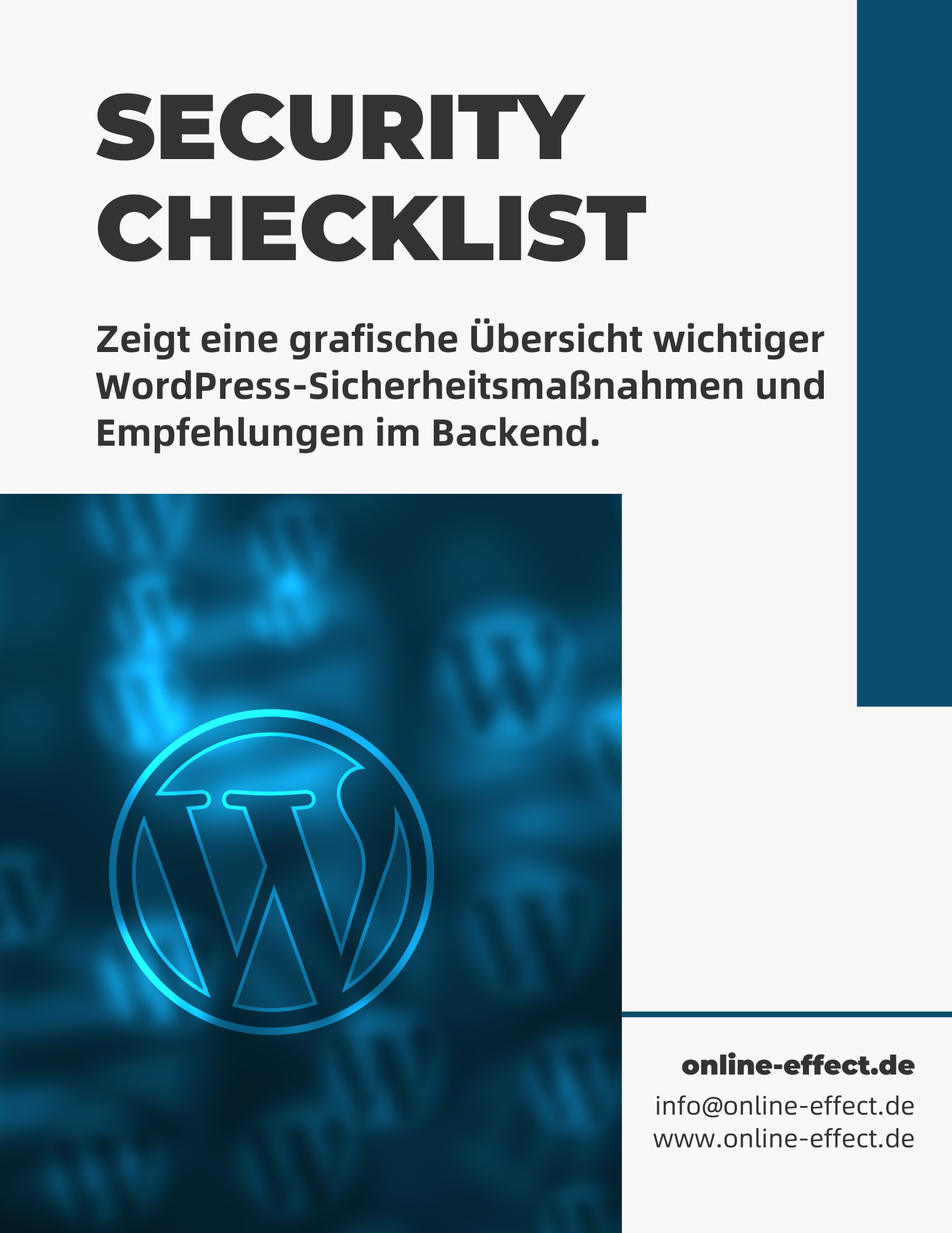 Security Checklist - WordPress Plugin