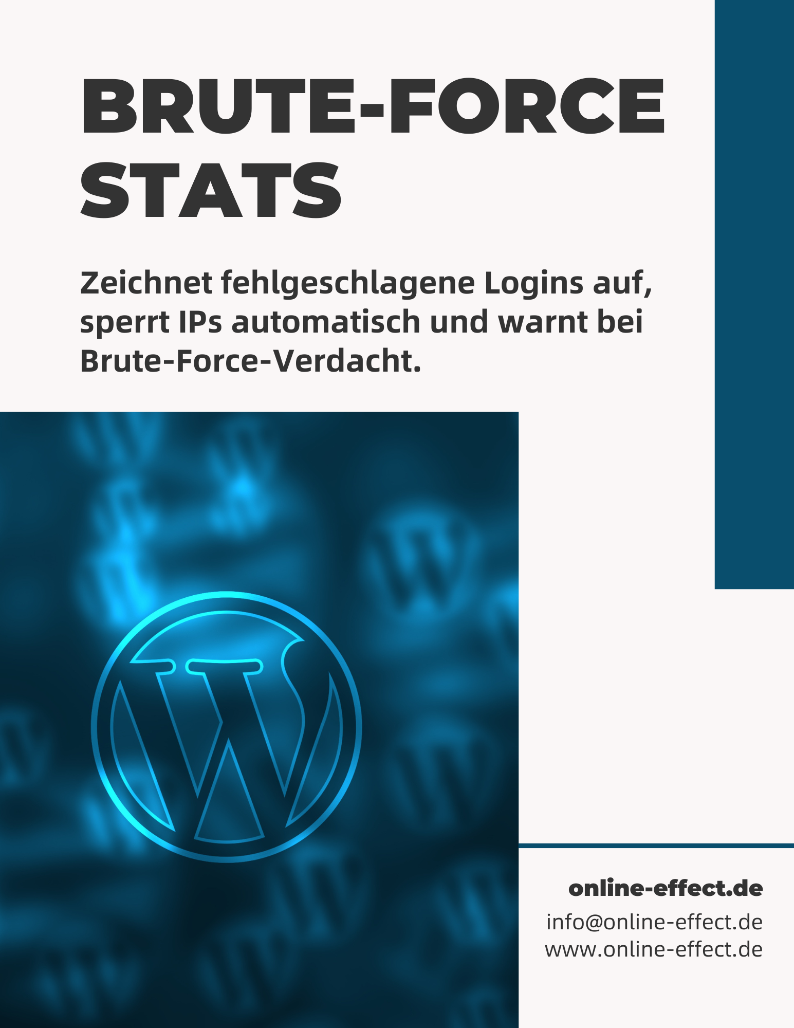 Brute-Force Stats - WordPress Plugin