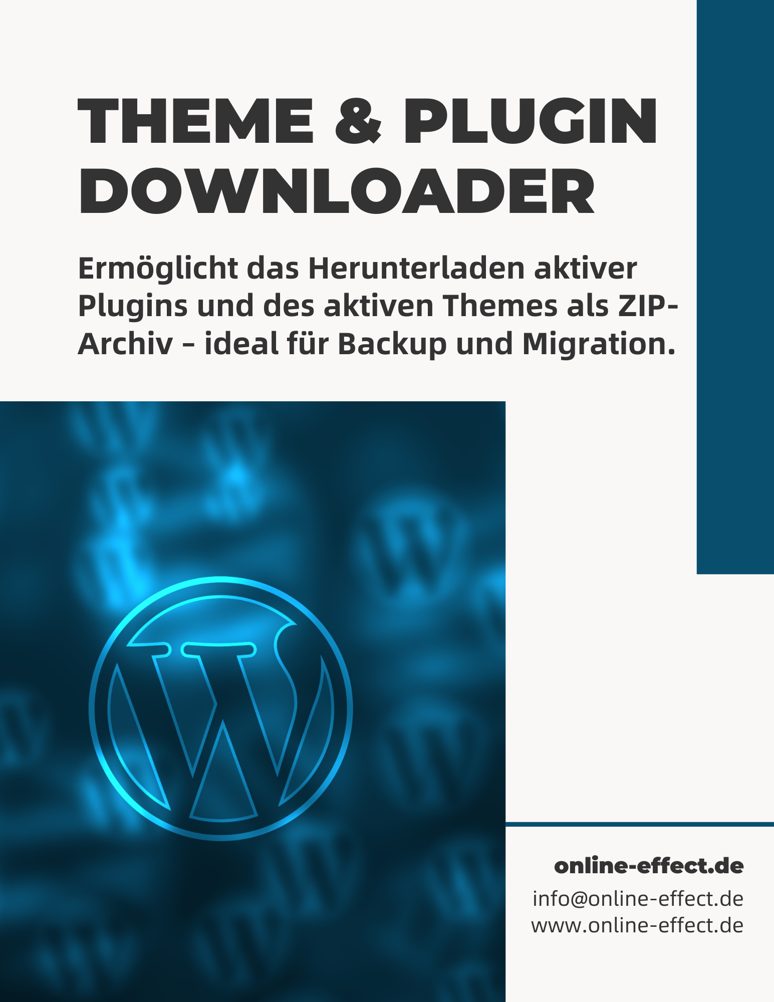 Theme & Plugin ZIP Downloader - WordPress Plugin