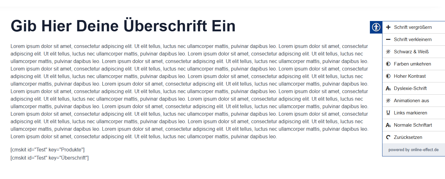 Barrierefreiheit Overlay Tool 2 Barrierefreiheit Overlay Tool – Bild 2