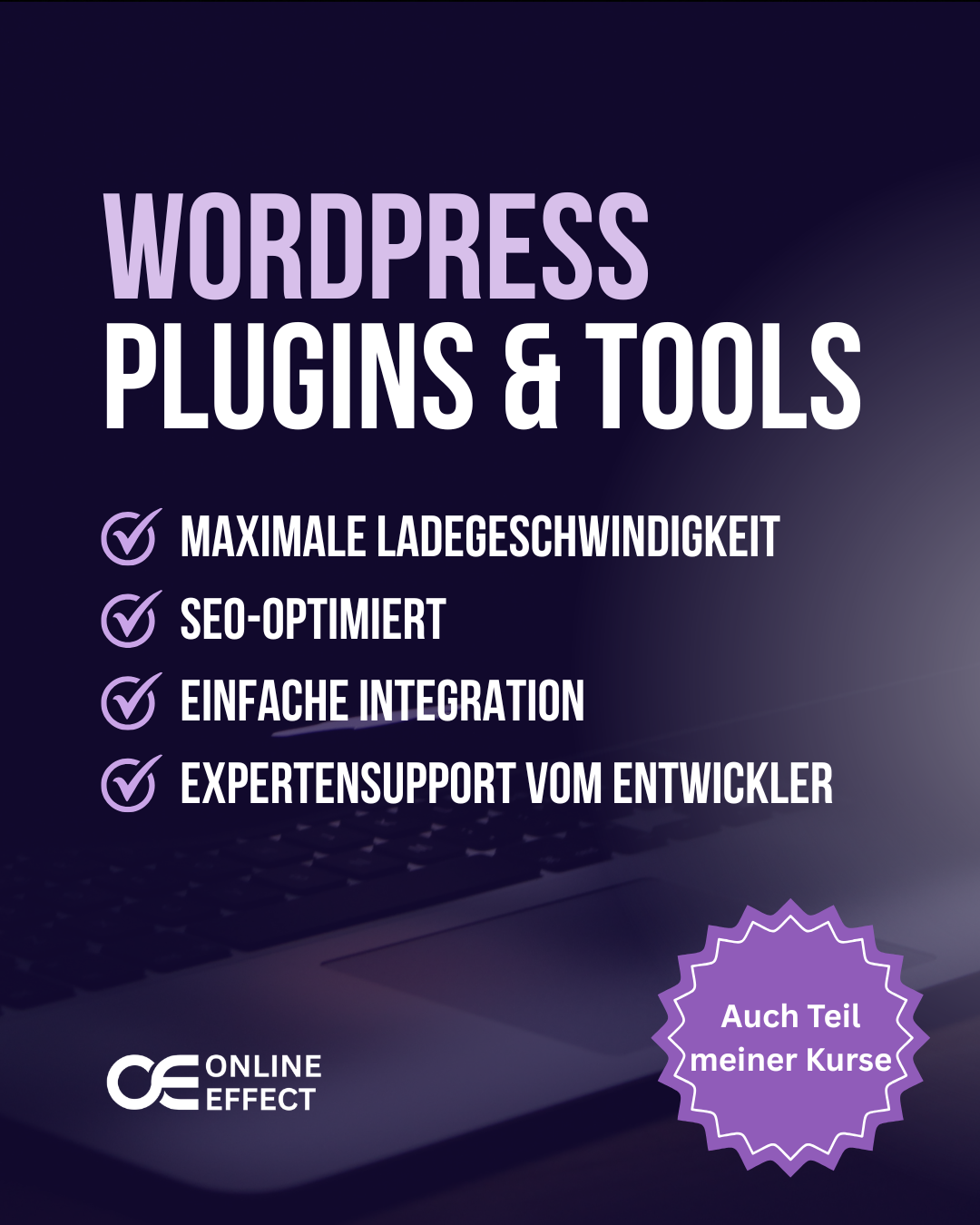 WordPress Plugins
